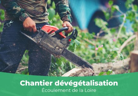 Dévégétalisation des bords de Loire