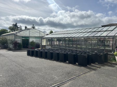 Les serres municipales : un savoir-faire au service du fleurissement de notre ville 