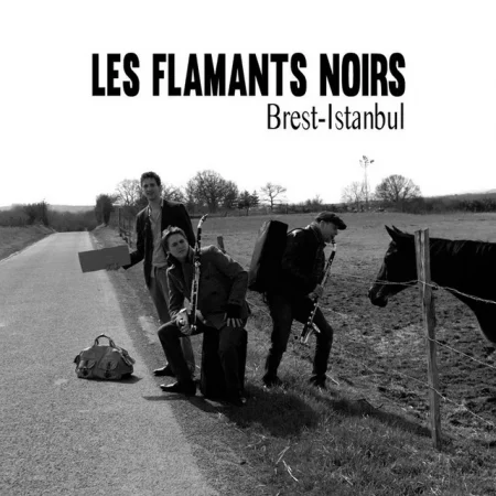 Concert : Les Flamants Noirs