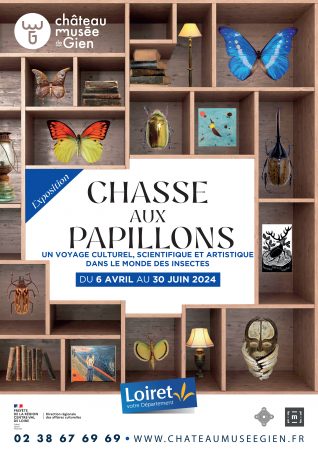 Chasse aux papillons